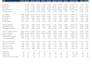 perform detailed financial ratio and company valuation analysis